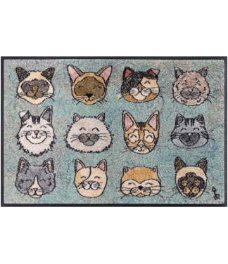 Vaip kassidega maja ukse juures Love Cats