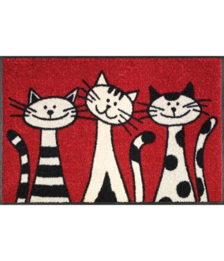 Arzemju durvju paklājs majai Three cats