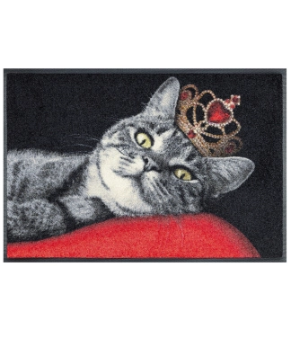 Kassikujutisega uksematt Royal Cat