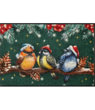Jõuluteemaline uksematt Magic Birds