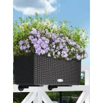 Lillekandik Lechuza Balconera Cottage 50 2