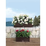 Suur lillepeenar Lechuza Balconera Cottage 80 1