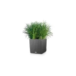 Pot Lechuza Cube Cottage 30 1