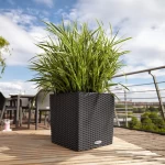 Pot Lechuza Cube Cottage 30 2