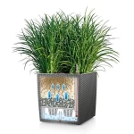 Pot Lechuza Cube Cottage 30 4
