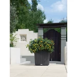 Stiilne taimepott Lechuza Cube Cottage 40 2