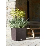 Stiilne taimepott Lechuza Cube Cottage 40 1