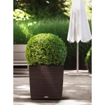 Pott Lechuza Cube Cottage 50 1
