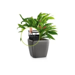 Lillepott Lechuza Quadro 21 4