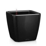 Lillepott Lechuza Quadro 21