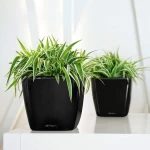 Lillepott Lechuza Quadro 21 1