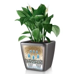 Lillepott Lechuza Quadro 21 1