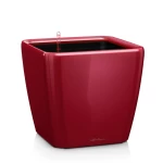 Lillepott Lechuza Quadro 21