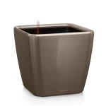 Lillepott Lechuza Quadro 21