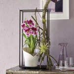Pott orhideedele Lechuza Orchidea 1