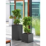 Pot Lechuza Canto Stone ristkülikukujuline sammas 1