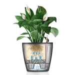 Klassikaline pott Lechuza Classico LS 2