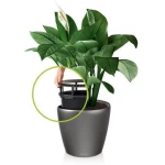 Klassikaline pott Lechuza Classico LS 5