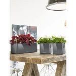 Smart pot Lechuza Cube Glossy Triple 1