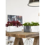 Smart pot Lechuza Cube Glossy Triple 1