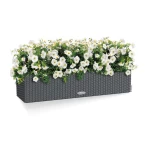 Suur lillepeenar Lechuza Balconera Cottage 80 2