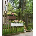 Lillekandik Lechuza Balconera Cottage 50 1