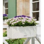 Lillekandik Lechuza Balconera Cottage 50 1