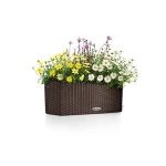 lovelis gelems lechuza balconera 5