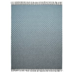 Stiilne pleed gradiendiga mustriga 1