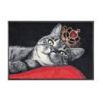 Kassikujutisega uksematt Royal Cat