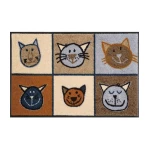 Kassikujutisega uksematt Miau Miau