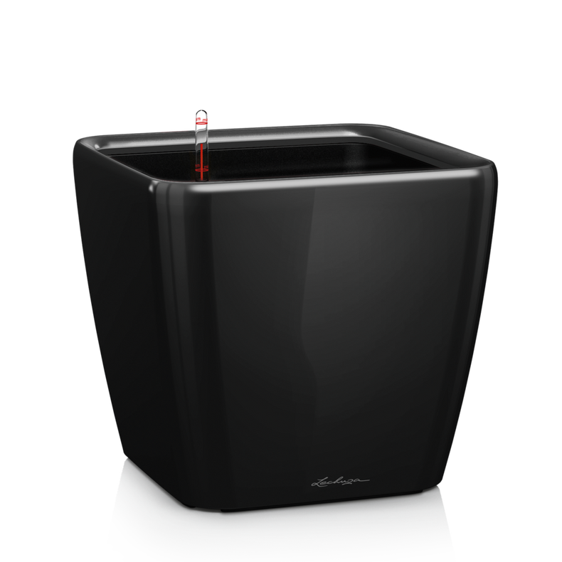 Lillepott Lechuza Quadro 21