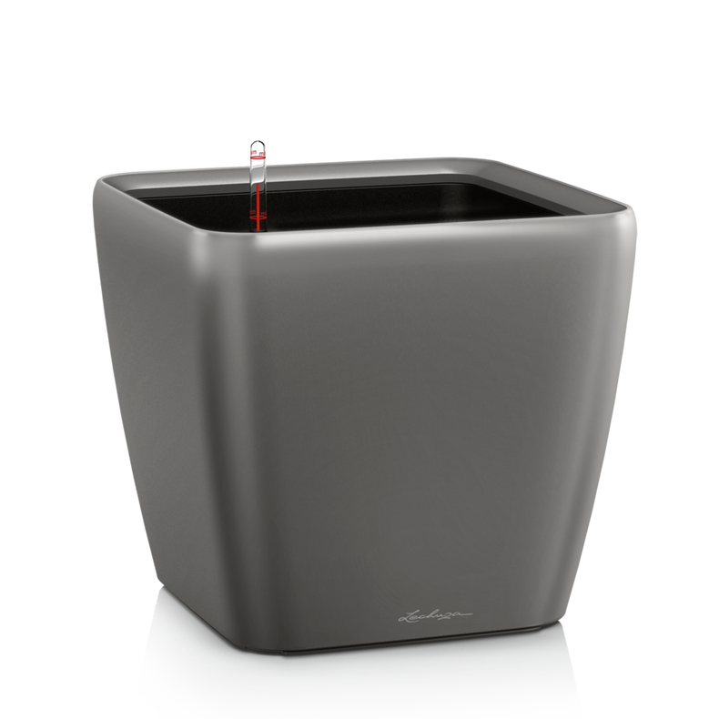 Lillepott Lechuza Quadro 21