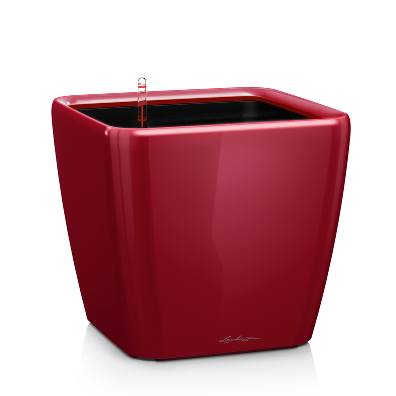 Lillepott Lechuza Quadro 21