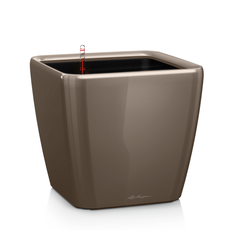 Lillepott Lechuza Quadro 21