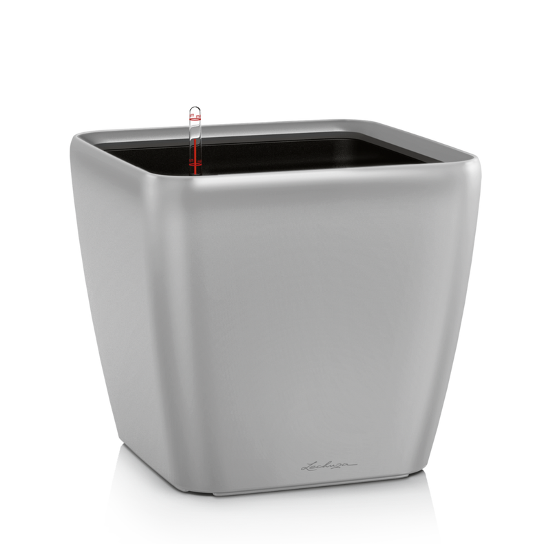 Lillepott Lechuza Quadro 21