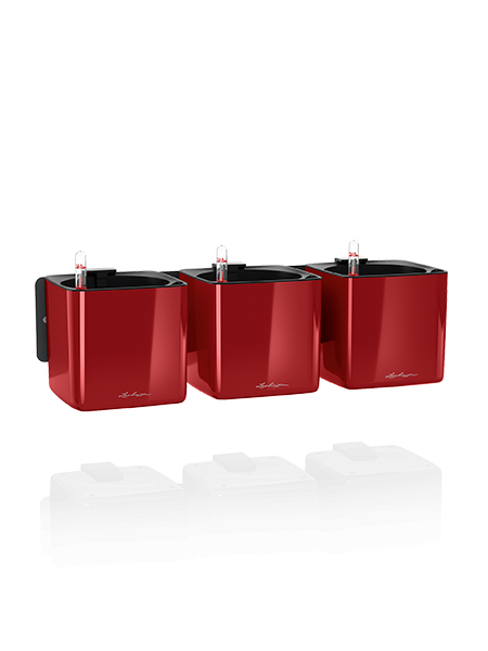 Lechuza Cube Premium rohelise taime seinakomplekt
