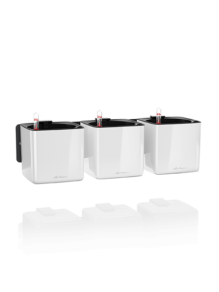 Lechuza Cube Premium rohelise taime seinakomplekt