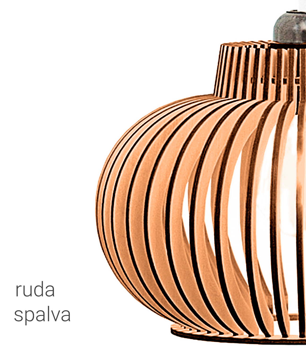 Rudas pakabinamas šviestuvas