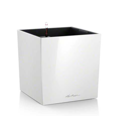 Stiilne lillepott Lechuza Cube